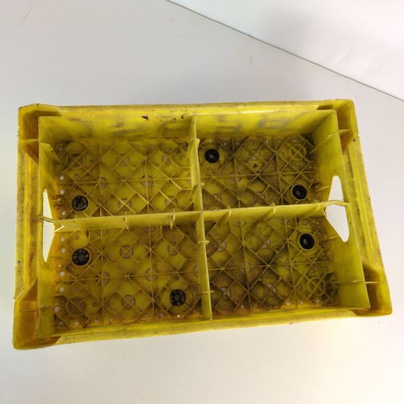 Vintage Yellow Black Plastic Pepsi Cola Crate 4 Cell Tray 18x12x4" Union Carbide - Picture 4 of 7